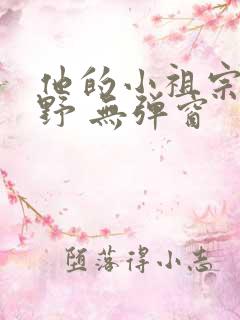 他的小祖宗甜又野 无弹窗