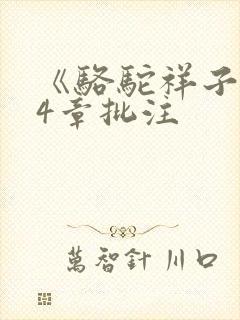 《骆驼祥子》24章批注