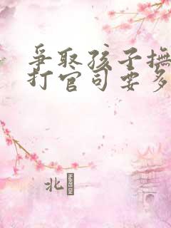 争取孩子抚养权打官司要多少钱