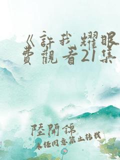 《许我耀眼》免费观看21集电视剧