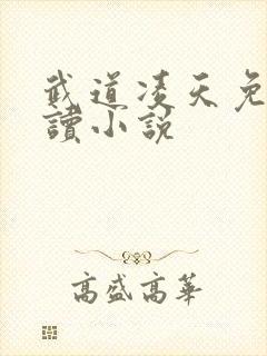 武道凌天免费阅读小说