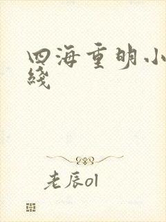 四海重明小说在线