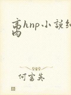高hnp小说纯肉
