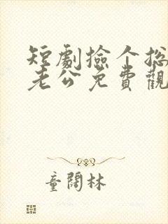 短剧捡个总裁当老公免费观看