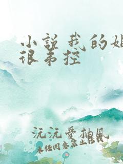 小说 我的姐姐很弟控