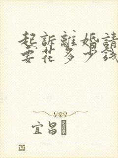 起诉离婚请律师要花多少钱