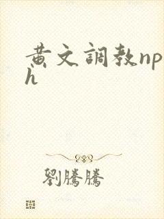 黄文调教np高h