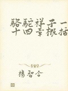 骆驼祥子一到二十四章概括