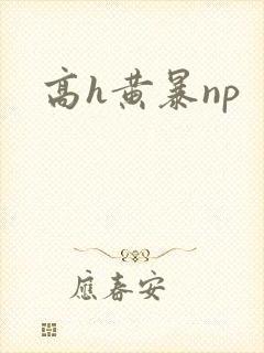 高h黄暴np