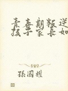 青春期叛逆期男孩子家长如何沟通