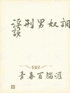 淫刑男奴调教小说