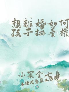 想离婚如何争夺孩子抚养权