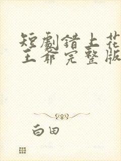 短剧错上花轿嫁王爷完整版