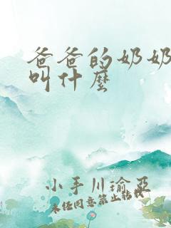 爸爸的奶奶爷爷叫什么