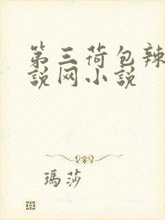 第三荷包辣文小说网小说