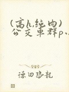 (高h,纯肉)公交车群p小说