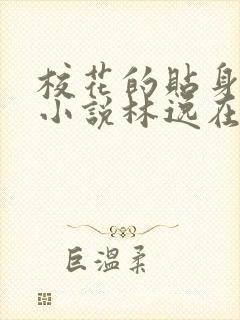 校花的贴身高手小说林逸在线阅读全文免费