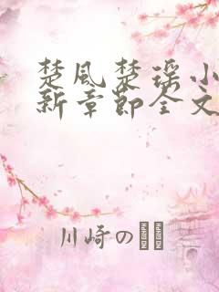 楚风楚瑶小说最新章节全文阅读