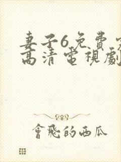 妻子6免费完整高清电视剧