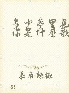 多少梦里见到了你是什么歌