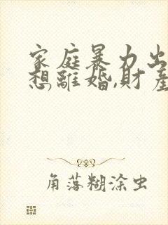 家庭暴力出轨,想离婚,财产怎么分割