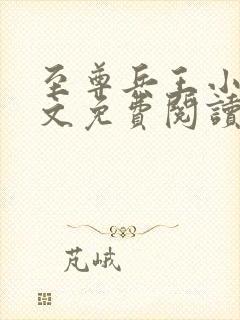 至尊兵王小说全文免费阅读