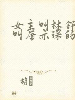 女主叫林舒男主叫唐亦琛的小说