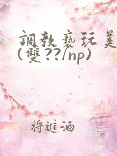 调教亵玩美人受(双??/np)