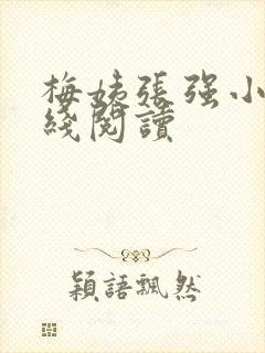 梅姨张强小说在线阅读