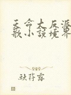 天命大反派顾长歌小说境界划分