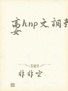 高hnp文调教女