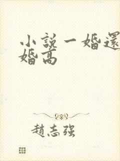 小说一婚还比一婚高