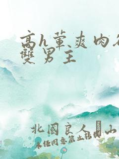 高h荤爽肉欲文双男主