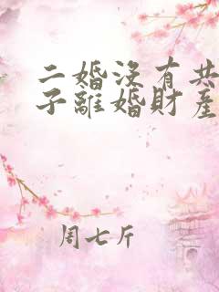 二婚没有共同孩子离婚财产怎么分