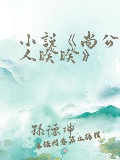 小说《尚公主伊人睽睽》