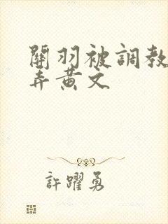 关羽被调教h玩弄黄文