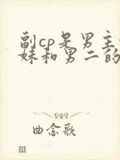 副cp是男主妹妹和男二的小说