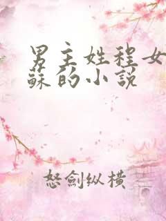 男主姓程女主姓苏的小说