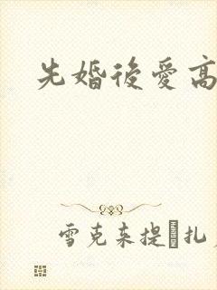 先婚后爱高干文