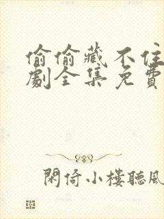 偷偷藏不住动漫剧全集免费