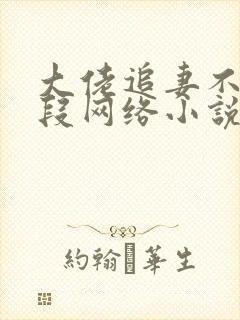 大佬追妻不择手段网络小说