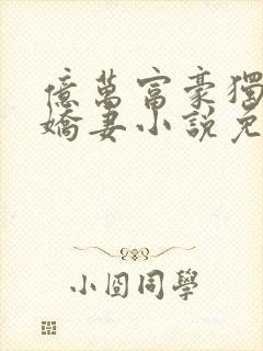 亿万富豪独宠小娇妻小说免费阅读