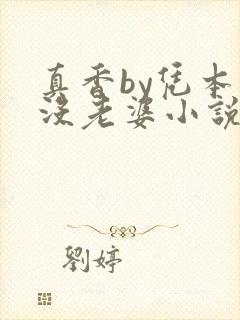 真香by凭本事没老婆小说免费阅读