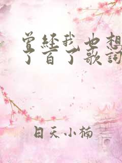 曾经我也想过一了百了歌词音译