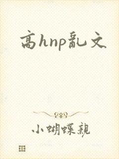高hnp乱文