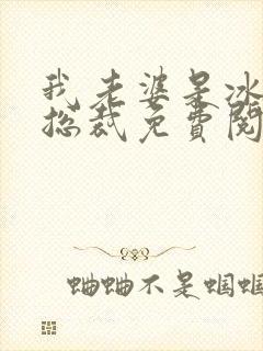 我老婆是冰山女总裁免费阅读最新