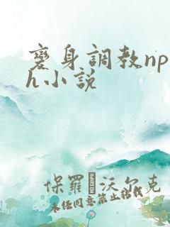 变身调教np高h小说