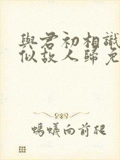 与君初相识·恰似故人归免费观看