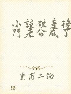 小说破产后,上门老公成了我的金主