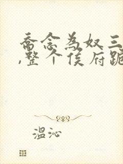 乔念为奴三年后,整个侯府跪求原谅小说全文